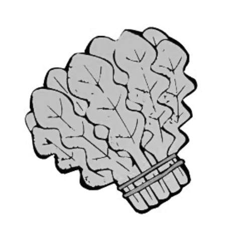 雪后菜價瘋漲15倍？沒恁夸張 元旦豬肉雞蛋或漲價