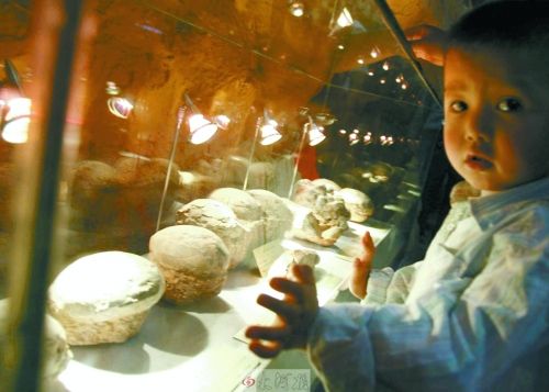 恐龍蛋，這回見識了吧！