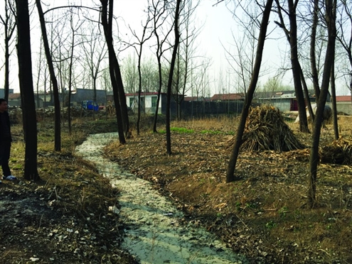 486臺(tái)兒莊戰(zhàn)役將士埋骨荒野 紀(jì)念設(shè)施或年內(nèi)落成