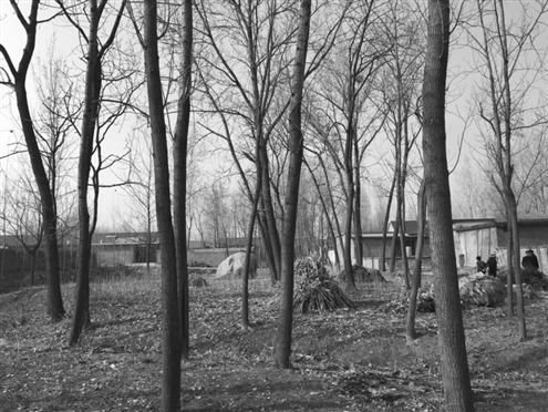 486臺(tái)兒莊戰(zhàn)役將士埋骨荒野 紀(jì)念設(shè)施或年內(nèi)落成