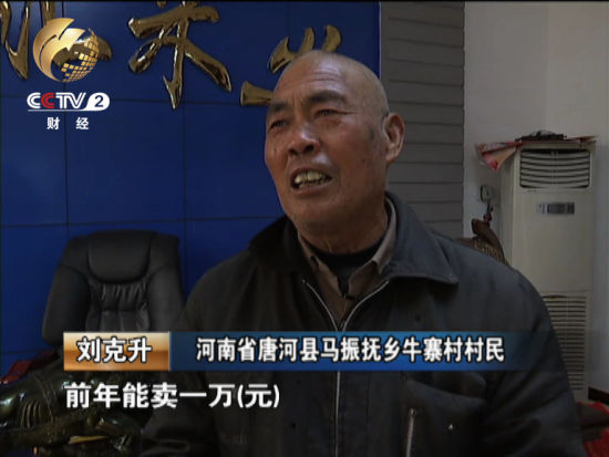 他告訴記者最多的一年曾經(jīng)賣過一萬(wàn)元錢現(xiàn)在由于種植面積減少收入也下降了很多