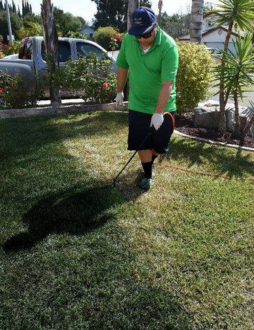 加州一市民正在為草地翻新“整容”。