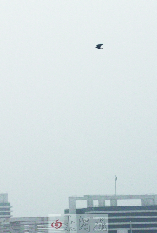 全省35個縣市發(fā)布惡劣天氣預(yù)警信號，其中15個發(fā)布大霧紅色預(yù)警