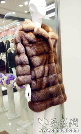 武漢一貂皮大衣標(biāo)價(jià)999999元 可買(mǎi)一套房(圖)