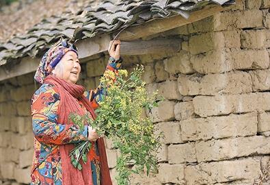 公式“時(shí)尚奶奶”的賞花照，收獲了好多人的點(diǎn)贊。 受訪者供圖