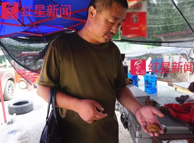 文玩核桃遇冷由幾萬一對降到5元沒人要？商戶否認