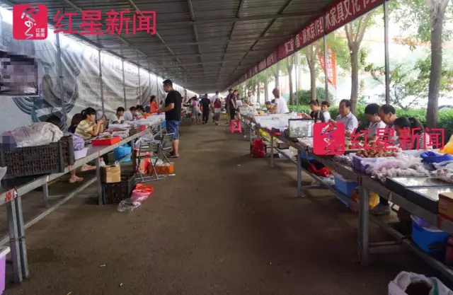 文玩核桃遇冷由幾萬一對降到5元沒人要？商戶否認