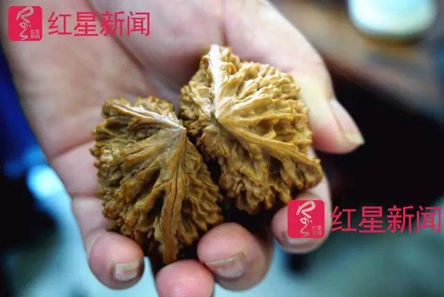 文玩核桃遇冷由幾萬一對降到5元沒人要？商戶否認