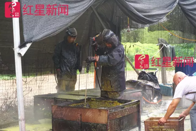 文玩核桃遇冷由幾萬一對降到5元沒人要？商戶否認