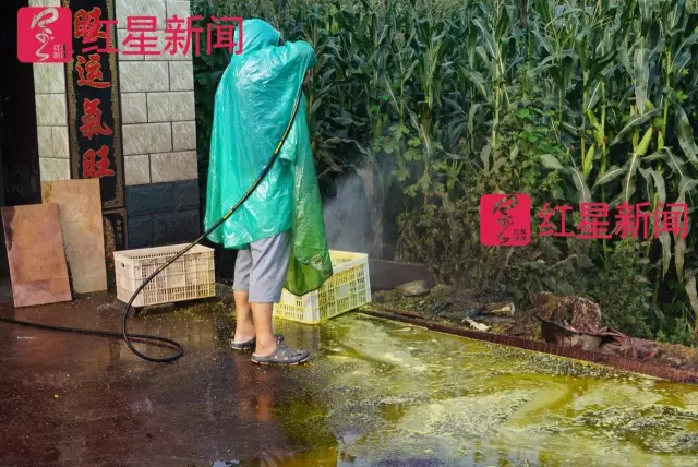 文玩核桃遇冷由幾萬一對降到5元沒人要？商戶否認