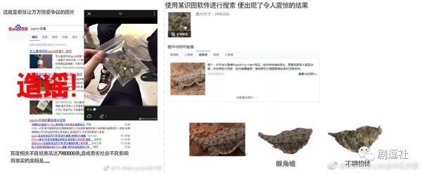 PGone又教給我們一個(gè)新詞：虐粉。