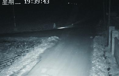 10歲男孩一個(gè)人打著手電走在鄉(xiāng)間公路上。 警方供圖