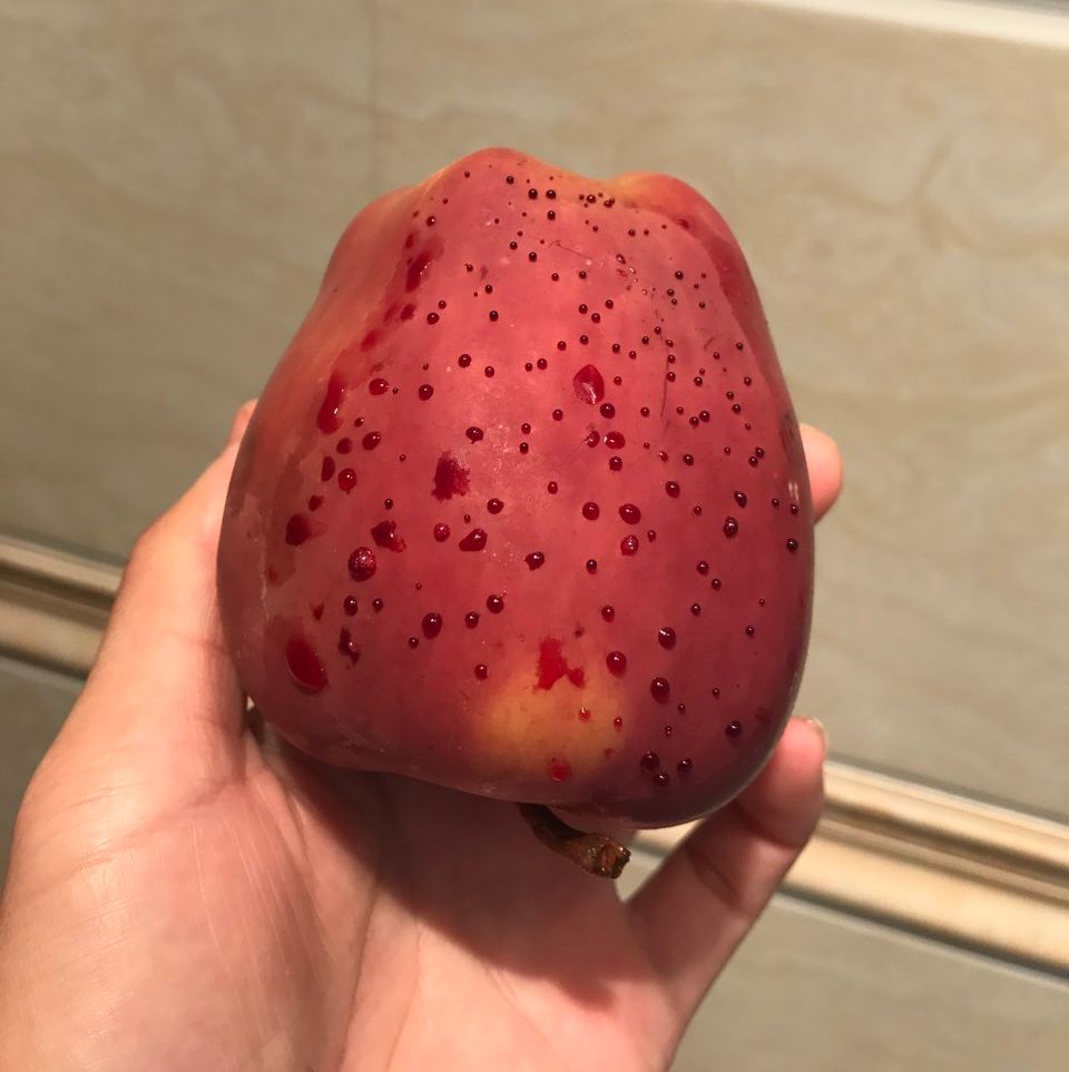嚇懵！女子用熱水泡蘋果結(jié)果冒出血珠 咋回事？