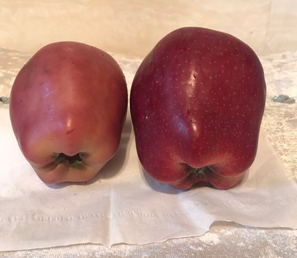 嚇懵！女子用熱水泡蘋果結(jié)果冒出血珠 咋回事？