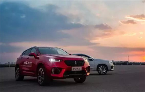 去年“蹦”出來的新汽車品牌們，現(xiàn)在活得怎么樣了？