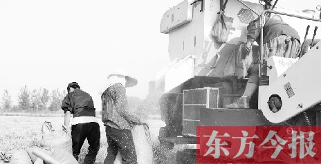 李正厚的妻子鮑本華（右）和一位村民拎著麻袋來到收割機(jī)前，接住傾倒出來的麥粒