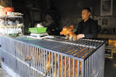 南京另一家農(nóng)貿(mào)市場內(nèi)待售的活雞。因南京出現(xiàn)H7N9禽流病例，買活雞的顧客減少。