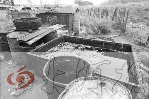 　　骯臟、令人作嘔的油桶凌亂地擺放在院子里，為了避免視覺刺激，我們把它做成了黑白圖片。