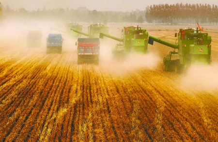 田里，一臺臺收割機唱著豐收歌。