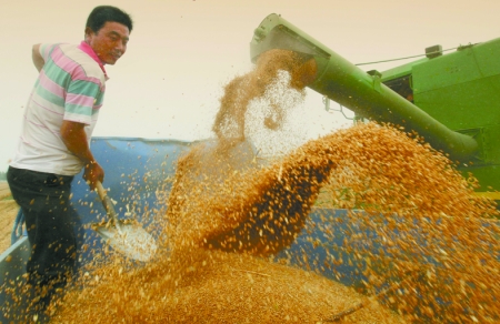 心情喜悅麥龍舞。