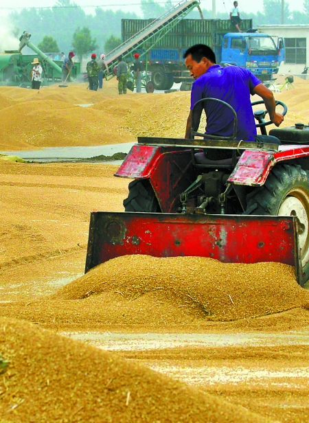 精心晾曬，散倉入庫。