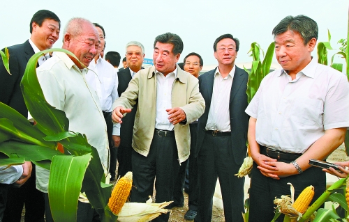 圖為回良玉在鄧州市腰店鄉(xiāng)草寺村視察萬(wàn)畝玉米高產(chǎn)示范方。