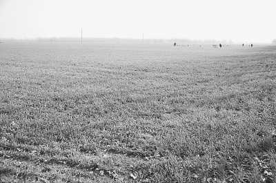 項城市丁集鎮(zhèn)平墳復(fù)耕后的農(nóng)田