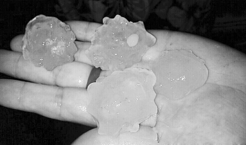 昨天凌晨，三門(mén)峽下起了冰雹，最大直徑近1厘米 微博截圖