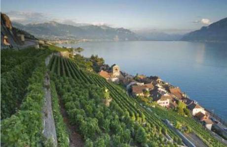 盤點幸福感最高的國家地區(qū)