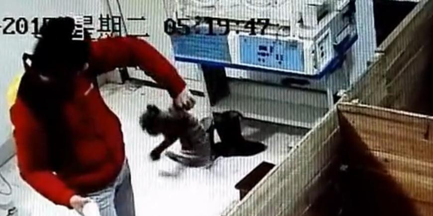 動(dòng)物園飼養(yǎng)員被曝虐待新生華南虎