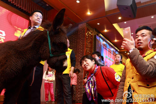 江蘇一公司奇葩年會：當(dāng)場領(lǐng)牲畜