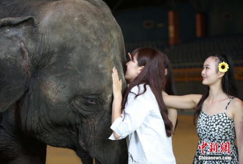 學(xué)生參加?；ㄐ２荽筚?穿比基尼秀身材