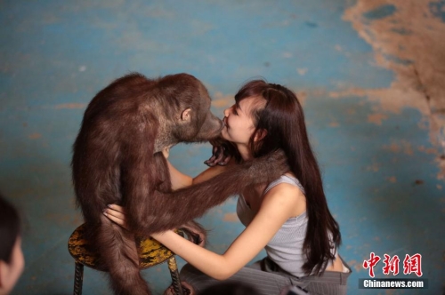 學(xué)生參加?；ㄐ２荽筚?穿比基尼秀身材