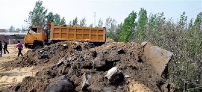 垃圾將生態(tài)涵養(yǎng)林給埋住了。