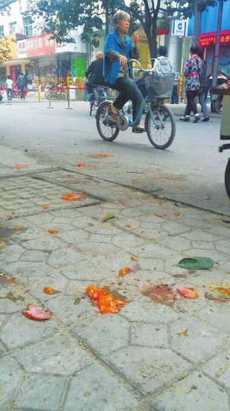 爛了一地的柿子影響市容，還常常滑倒人。