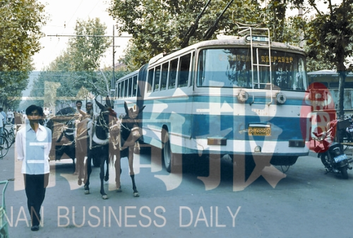 當(dāng)年的伏牛路，驢車和公交車并行