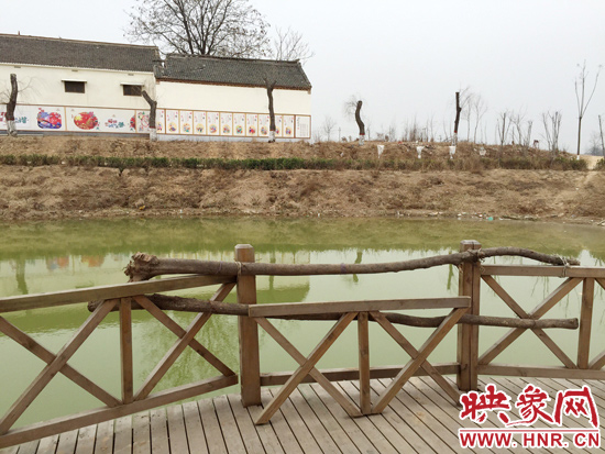 護(hù)欄損毀的地方，已經(jīng)被兩根樹干擋住。