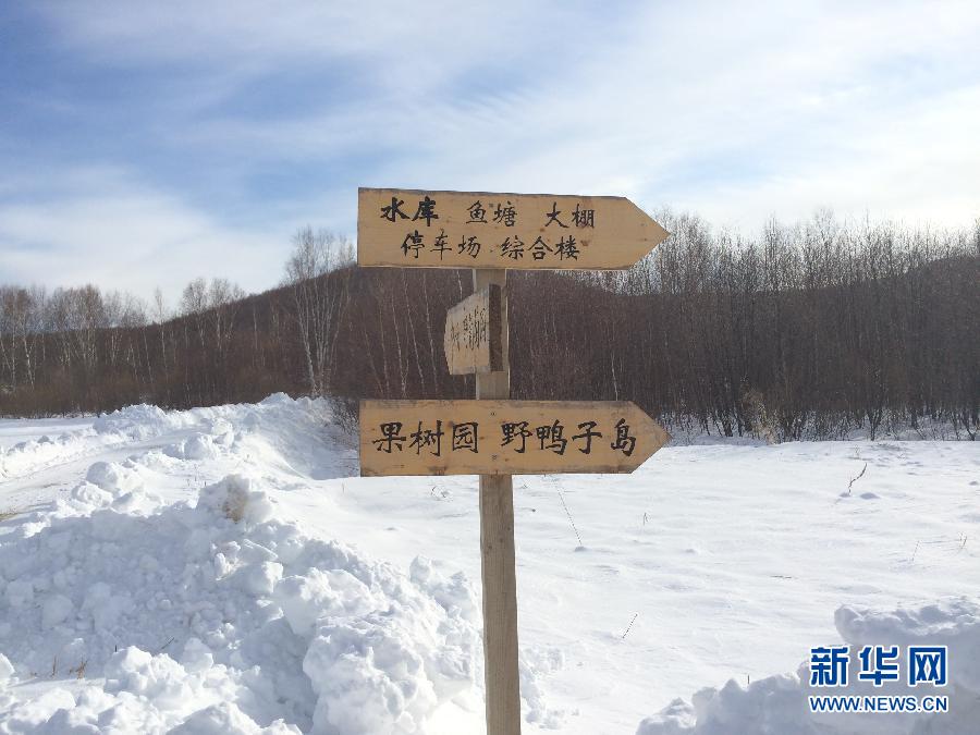 穗豐園里的標(biāo)識(shí)牌（2013年12月8日攝）。新華社記者王子辰攝