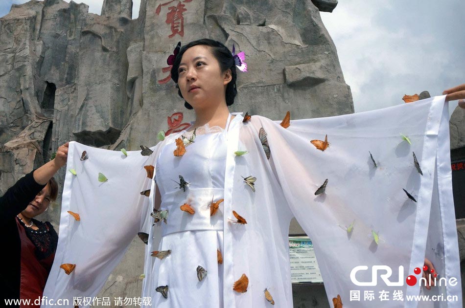 “蝴蝶仙子”身穿上百只剛剛扎死的蝴蝶。圖片來源：老祝/東方IC