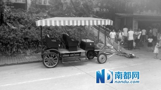 園方則稱解剖后發(fā)現(xiàn)馬死于心臟衰竭，“與累無關(guān)”。