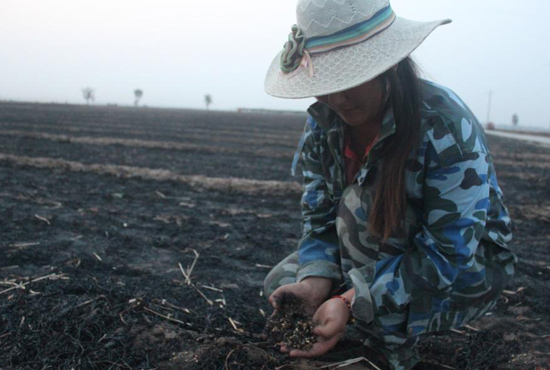 村民們眼巴巴看著豐收的小麥“葬身”火海，心疼不已。
