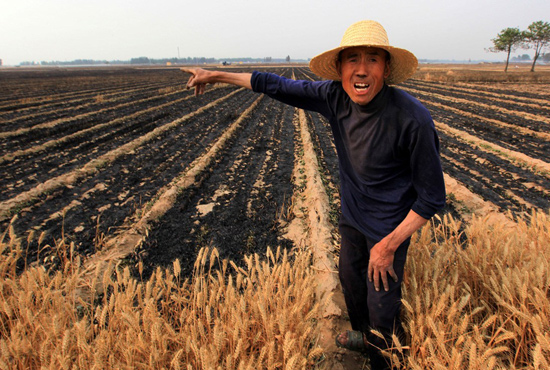 河南省滑縣、內(nèi)黃縣麥田著火，麥壟套種的花生、玉米苗也被烤焦，群眾損失慘重