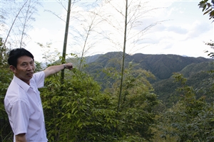 村民吳學(xué)田告訴記者，對(duì)面兩座山就是潘建友承包的部分山場(chǎng) 見(jiàn)習(xí)記者 邱一文 攝