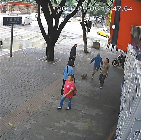 寵物狗絆倒八旬老太 沒有“逃離”現(xiàn)場(chǎng)坐等民警來