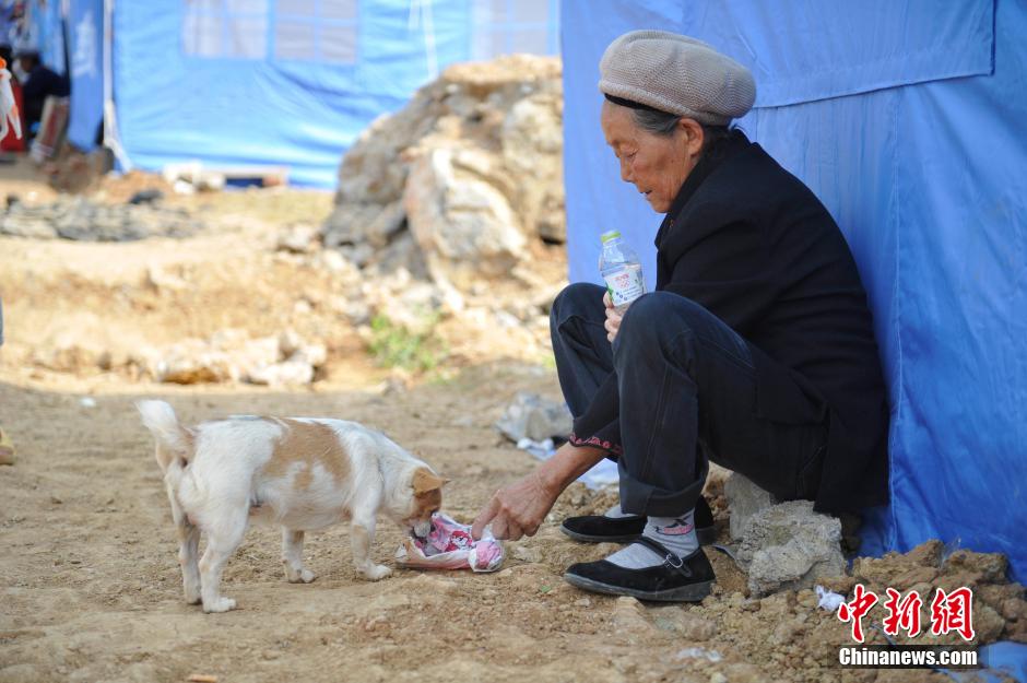 8月6日，一名老人將剛領到的礦泉水分給小狗。