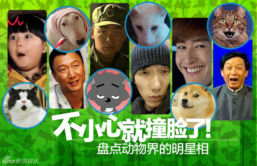 不小心就撞臉了！盤點(diǎn)動(dòng)物界的明星相