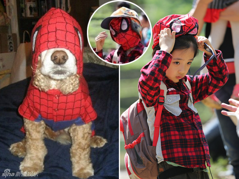 不小心就撞臉了！盤點(diǎn)動(dòng)物界的明星相