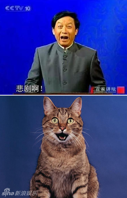 不小心就撞臉了！盤點(diǎn)動(dòng)物界的明星相