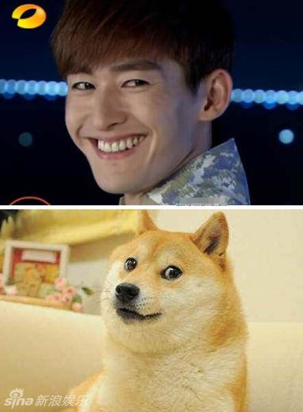 不小心就撞臉了！盤點(diǎn)動(dòng)物界的明星相