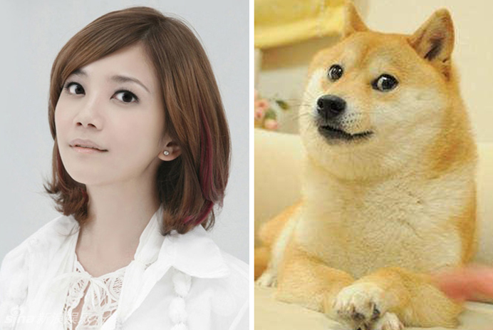 不小心就撞臉了！盤點(diǎn)動(dòng)物界的明星相